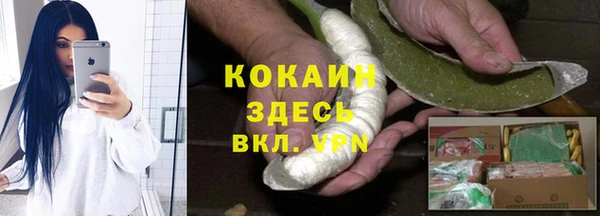 соль ск Алексин