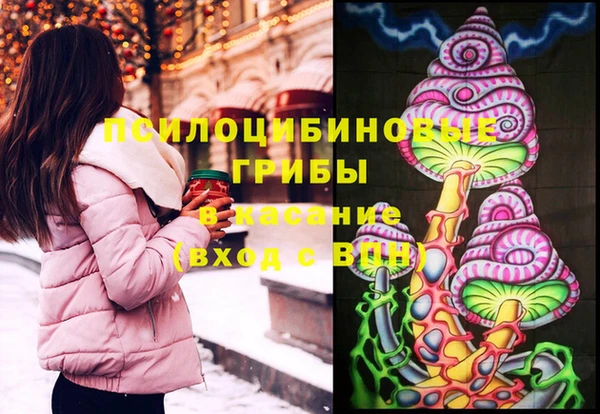 ешки Абинск