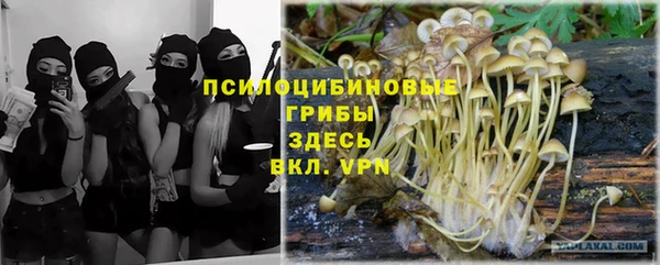 spice Алзамай