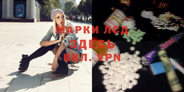 spice Алзамай