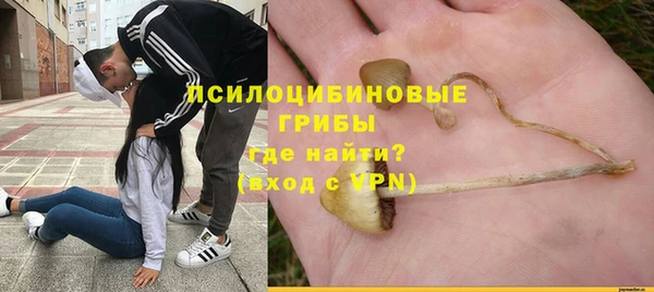 spice Алзамай