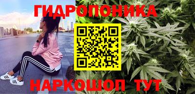 каннабис Кандалакша