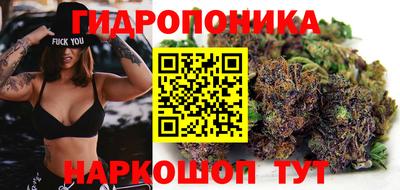 ALPHA-PVP Камышлов
