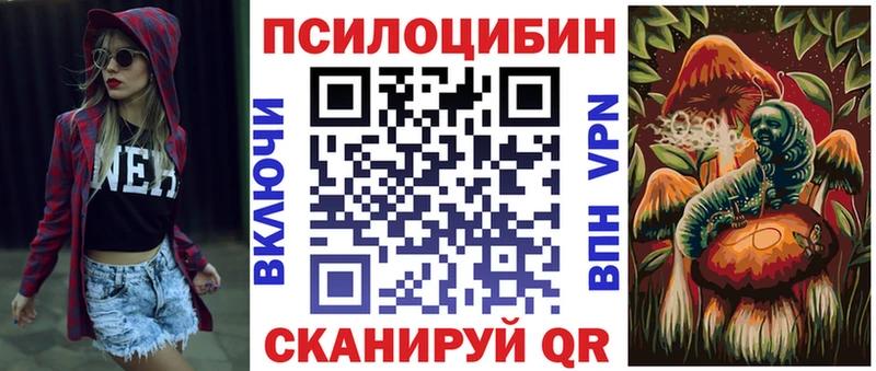 где купить   Усть-Илимск  Галлюциногенные грибы MAGIC MUSHROOMS 