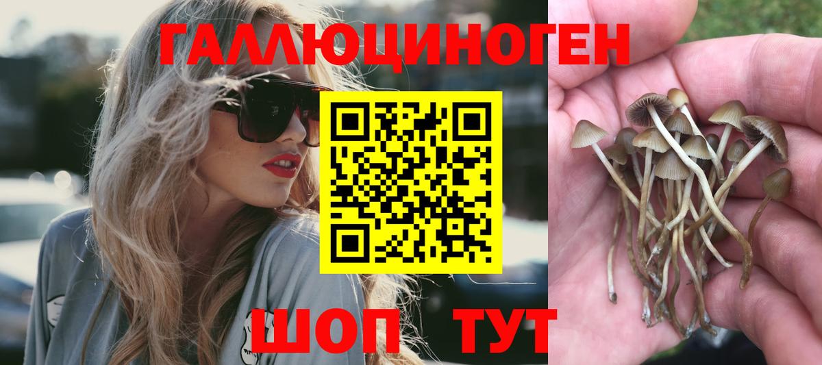 Усть-Илимск  Галлюциногенные грибы мухоморы  Вход с VPN 