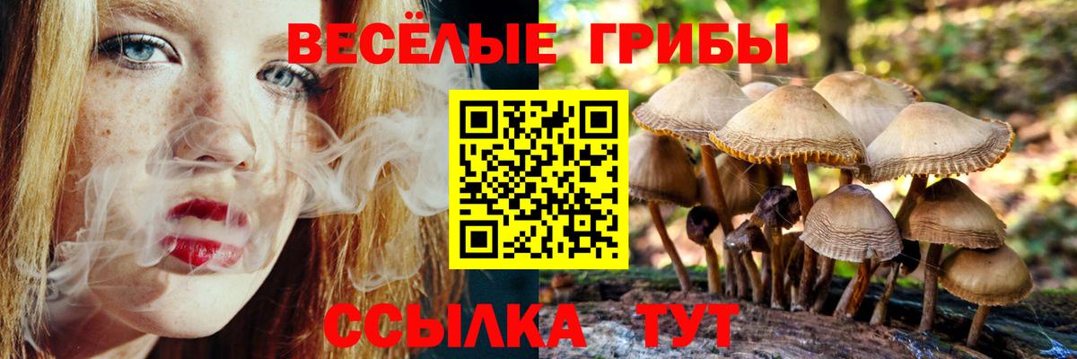 Псилоцибиновые грибы GOLDEN TEACHER Усть-Илимск